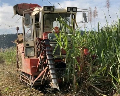 農事組合法人　玉城農産