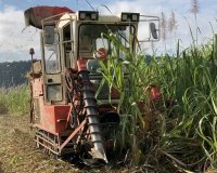 農事組合法人　玉城農産 ロゴ