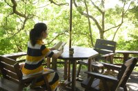 山の茶屋　楽水 ロゴ